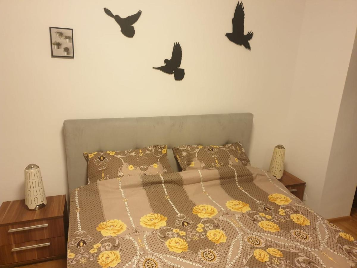 בראשוב Lucky Residence II מראה חיצוני תמונה